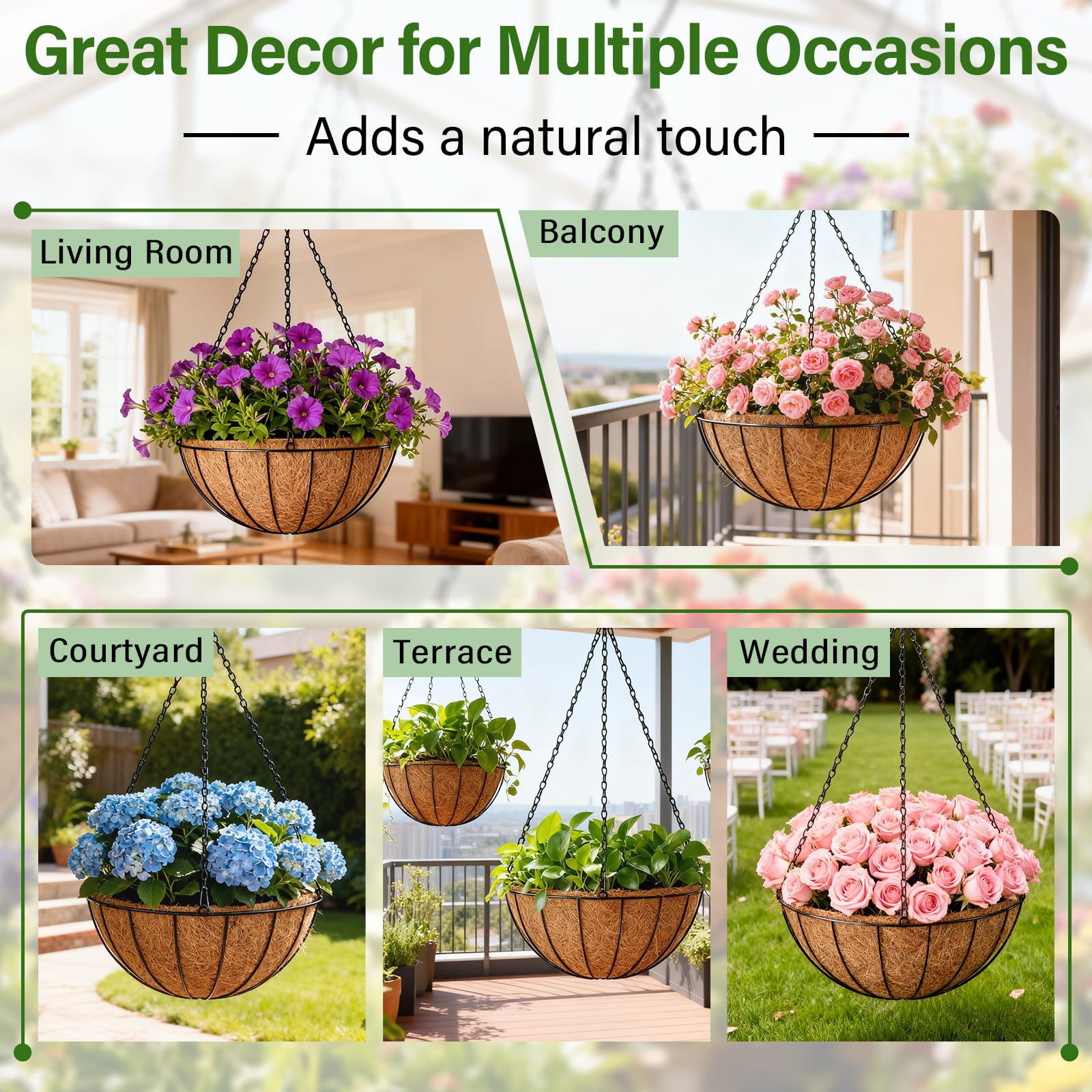 Halatool store decor with coco liner enhances natural ambiance.