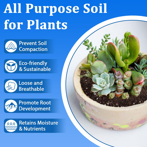 Halatool succulent bonsai soil helps drainage for mini trees.