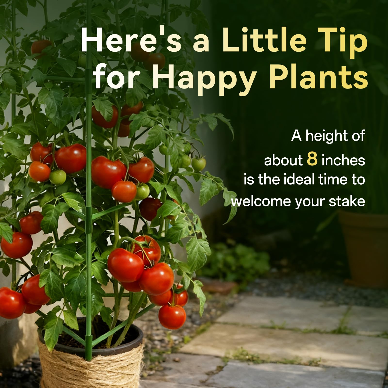 Halatool tomato cage dimensions may vary slightly in manufacturing