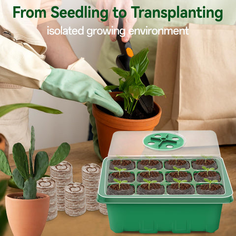 Halatool transparent lid enhances light exposure for healthier seedlings