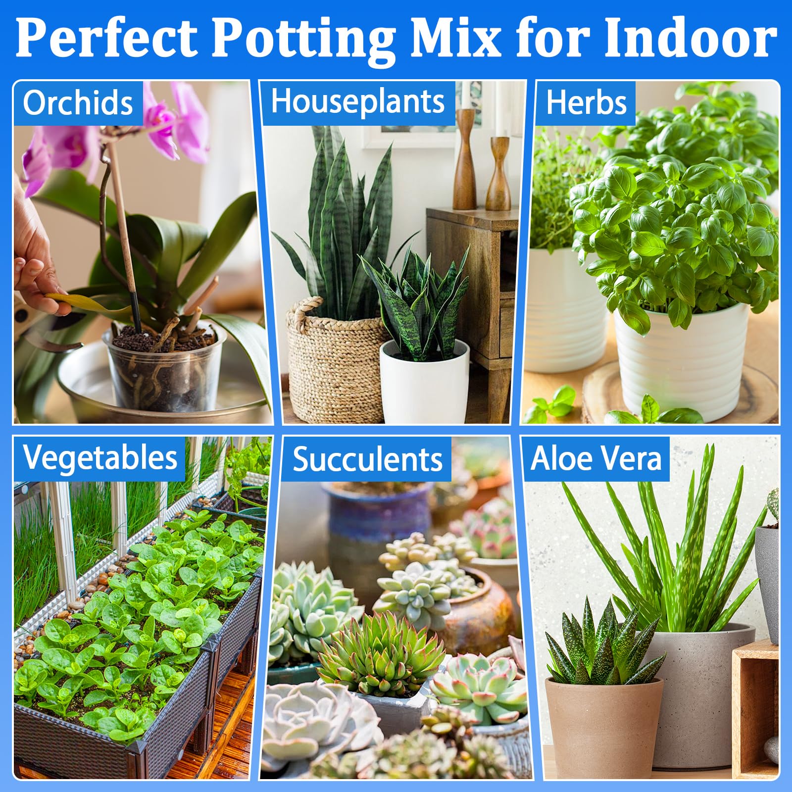 Halatool vegetables and herbs potting soil enables vibrant, productive beds.