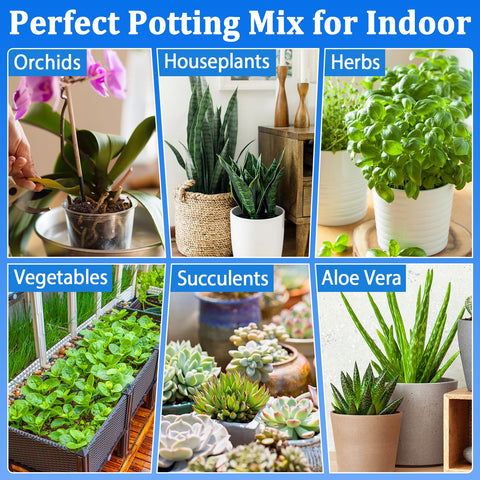 Halatool vegetables and herbs potting soil enables vibrant, productive beds.