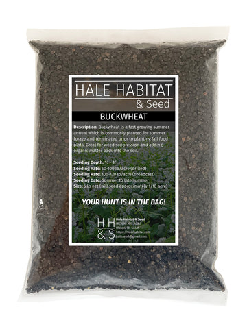 Hale Habitat Buckwheat seed bag for plots improves forage potential