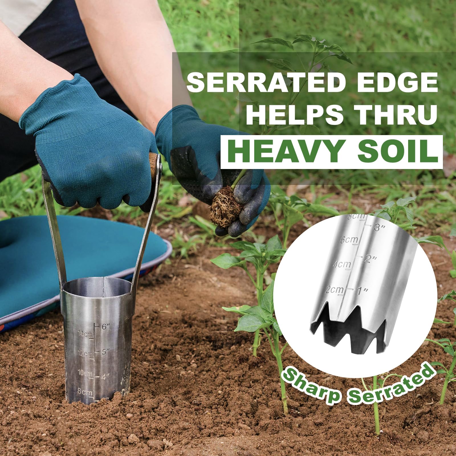 Haliaeetus bulb planter features ergonomic wood grip for comfortable kneeling work.