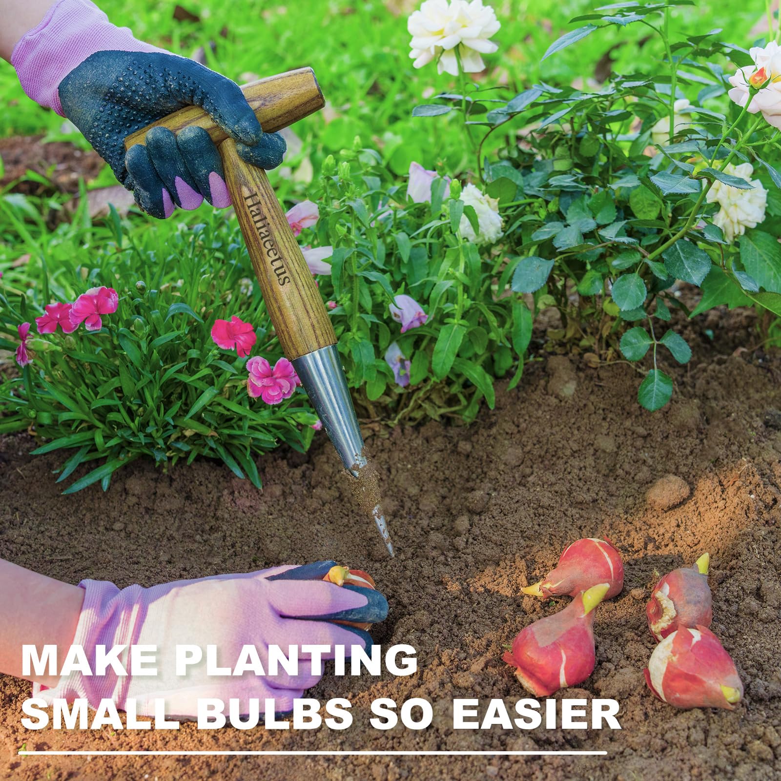Ideal for quick seeding, bulb planting, and seedling transplants in the garden.