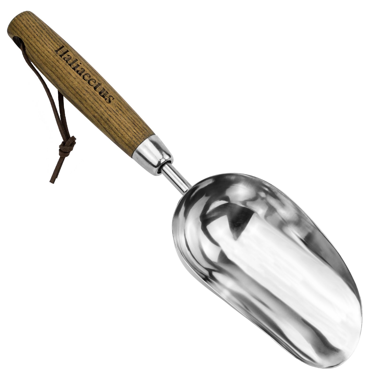 Haliaeetus potting soil scoop in stainless steel for precise soil transfer.