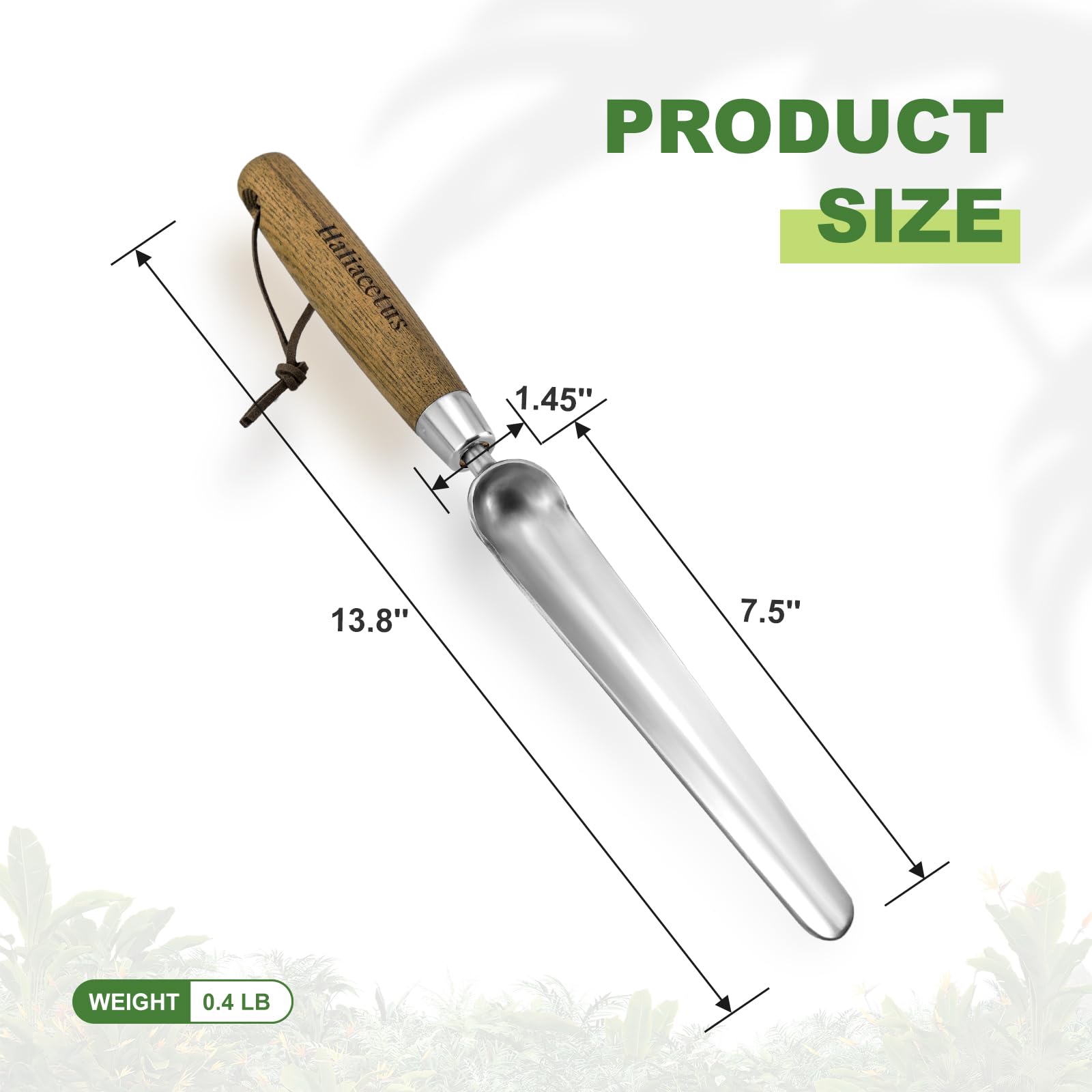 Haliaeetus Seeding Widger durable tool for garden beds and indoor plants.