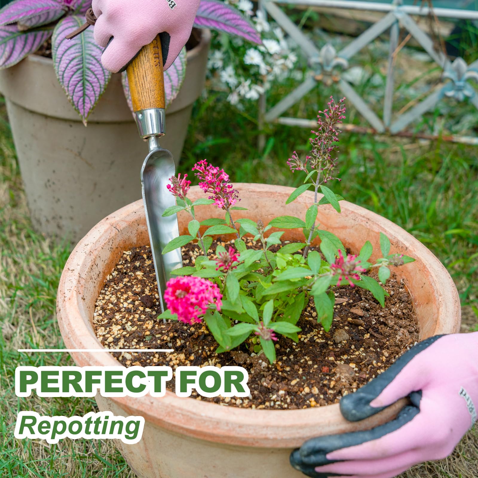 Haliaeetus Seeding Widger stainless steel blade resists rust during digging.