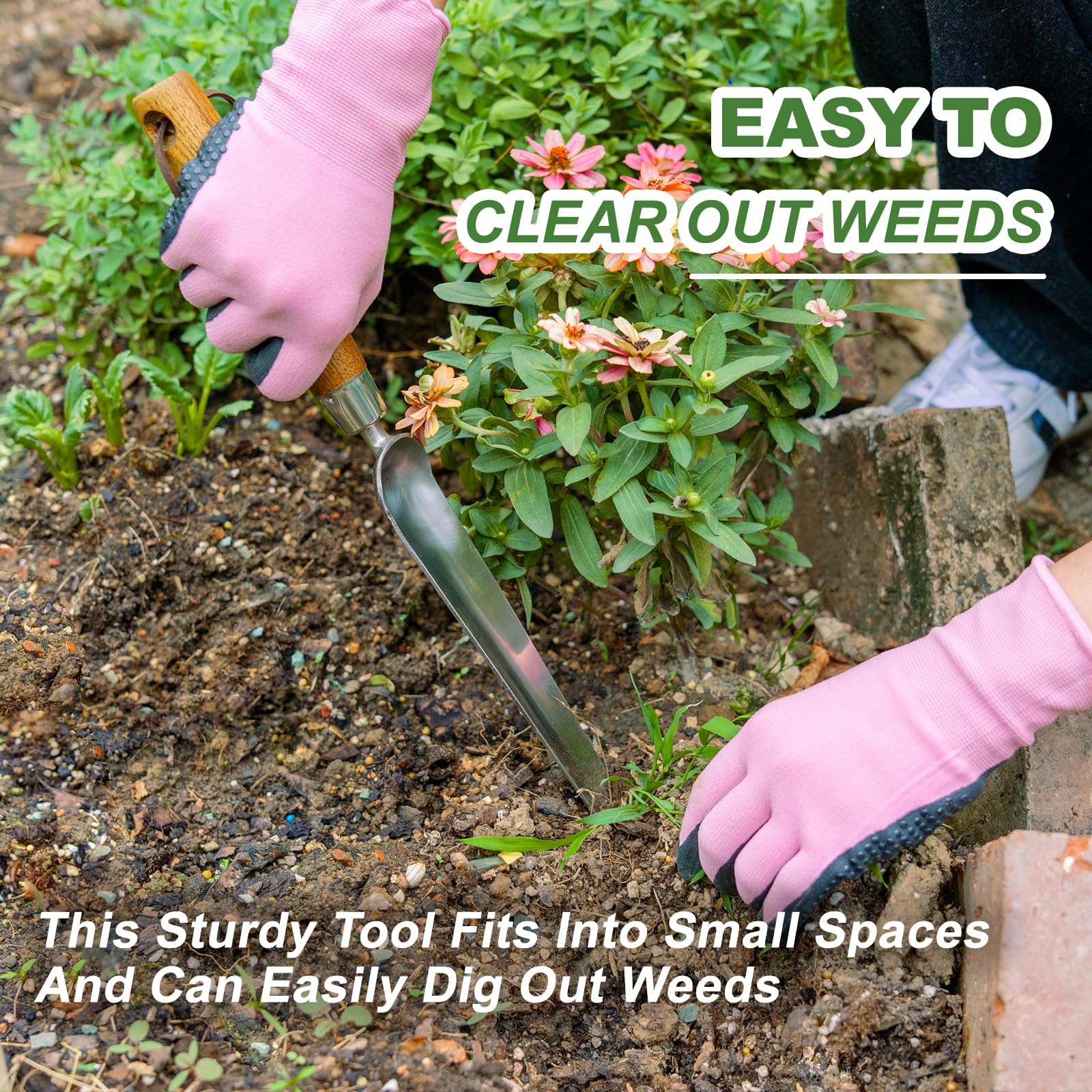 Haliaeetus Seeding Widger wood handle provides ergonomic grip for comfortable use.