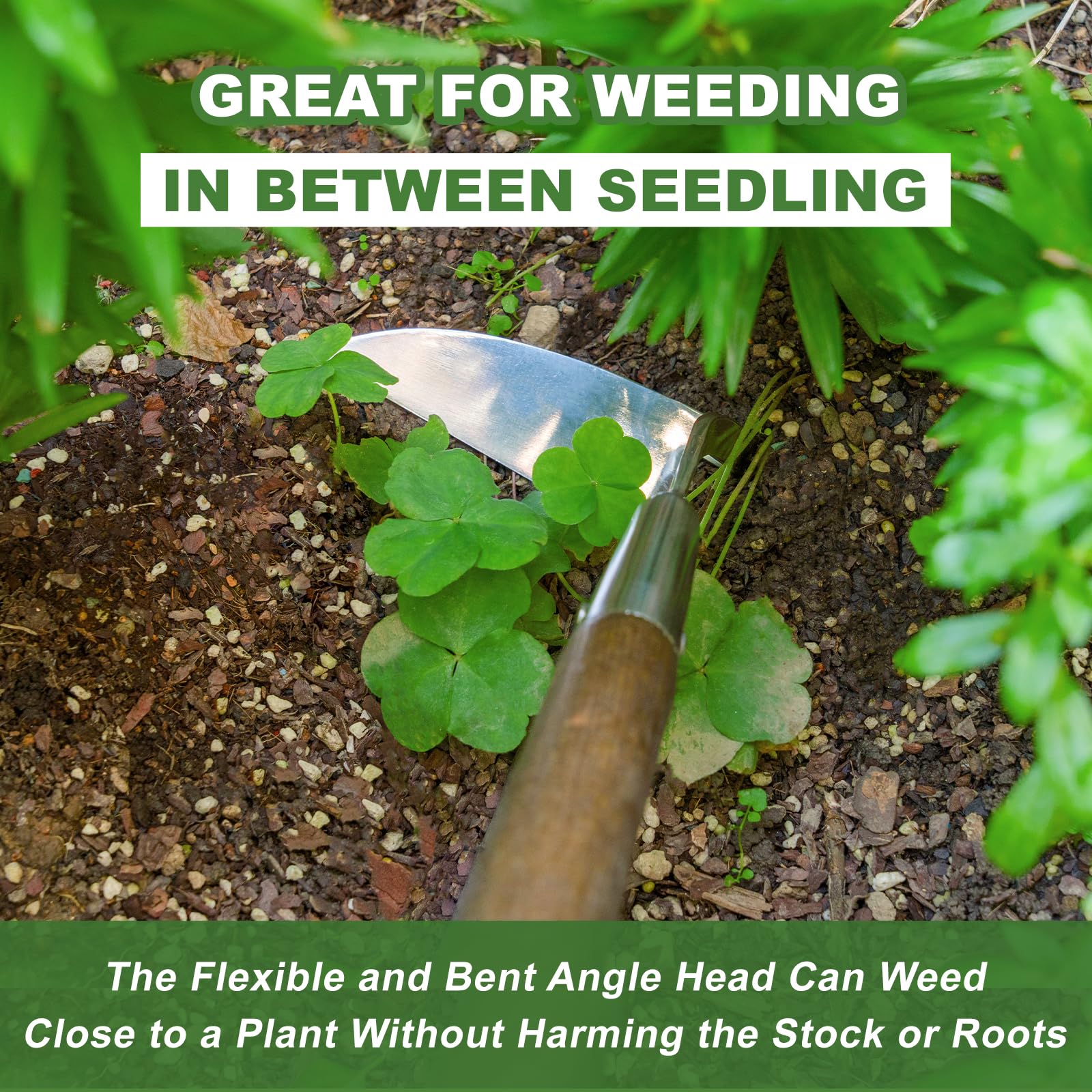 Haliaeetus Sickle Hoe clears weed patches quickly in flower beds.