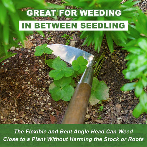 Haliaeetus Sickle Hoe clears weed patches quickly in flower beds.