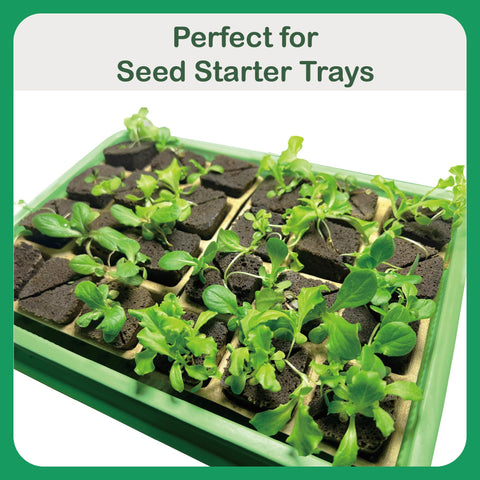 Haligo rapid rooter pods in tray promote clean germination without messy soil.