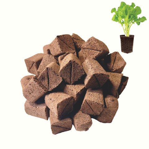 Haligo square hydroponics pods in seed-starter setup for easy succulent propagation.