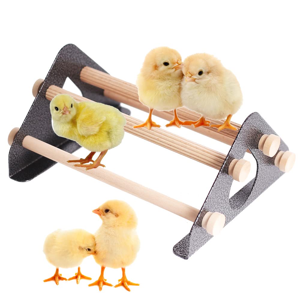 halinfer baby chick perch with a durable metal stand and wooden roosts for easy training