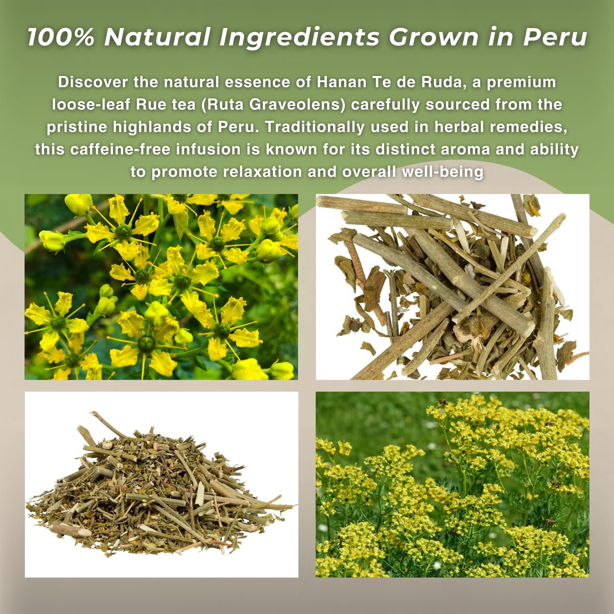Hanan Rue dry leaves spread, vibrant color and natural fragrance for a flavorful cup.