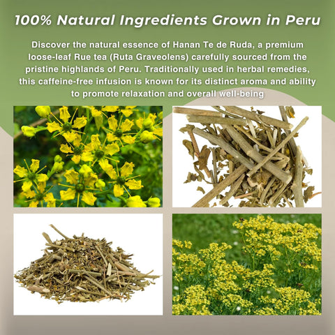 Hanan Rue dry leaves spread, vibrant color and natural fragrance for a flavorful cup.