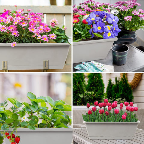 Hananojia 8-pack window planters for multi-plant setups