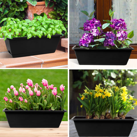 Hananojia planters suit succulents, herbs, and greens on balcony or windowsill.