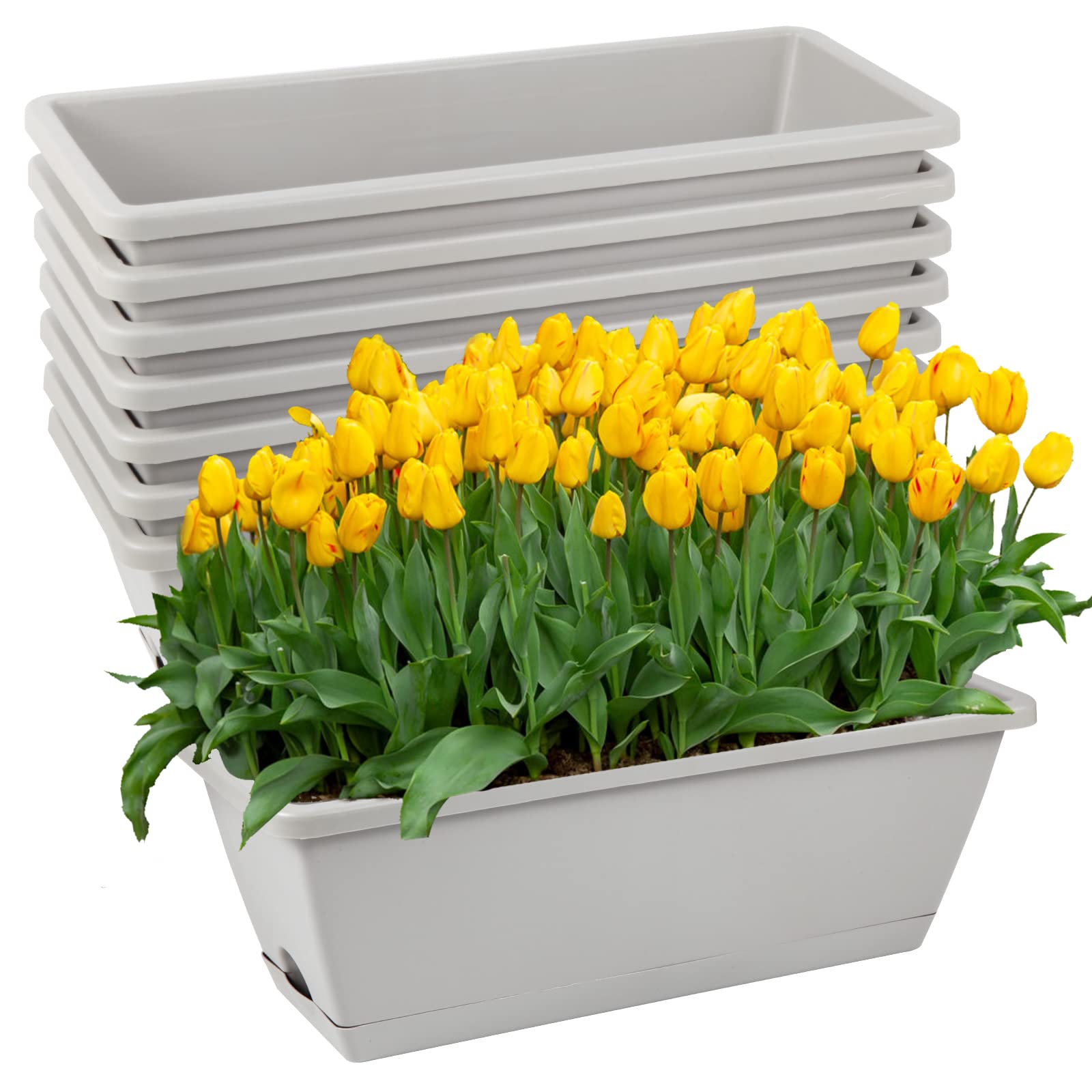 Hananojia rectangle window planter on a sunny sill for compact gardening