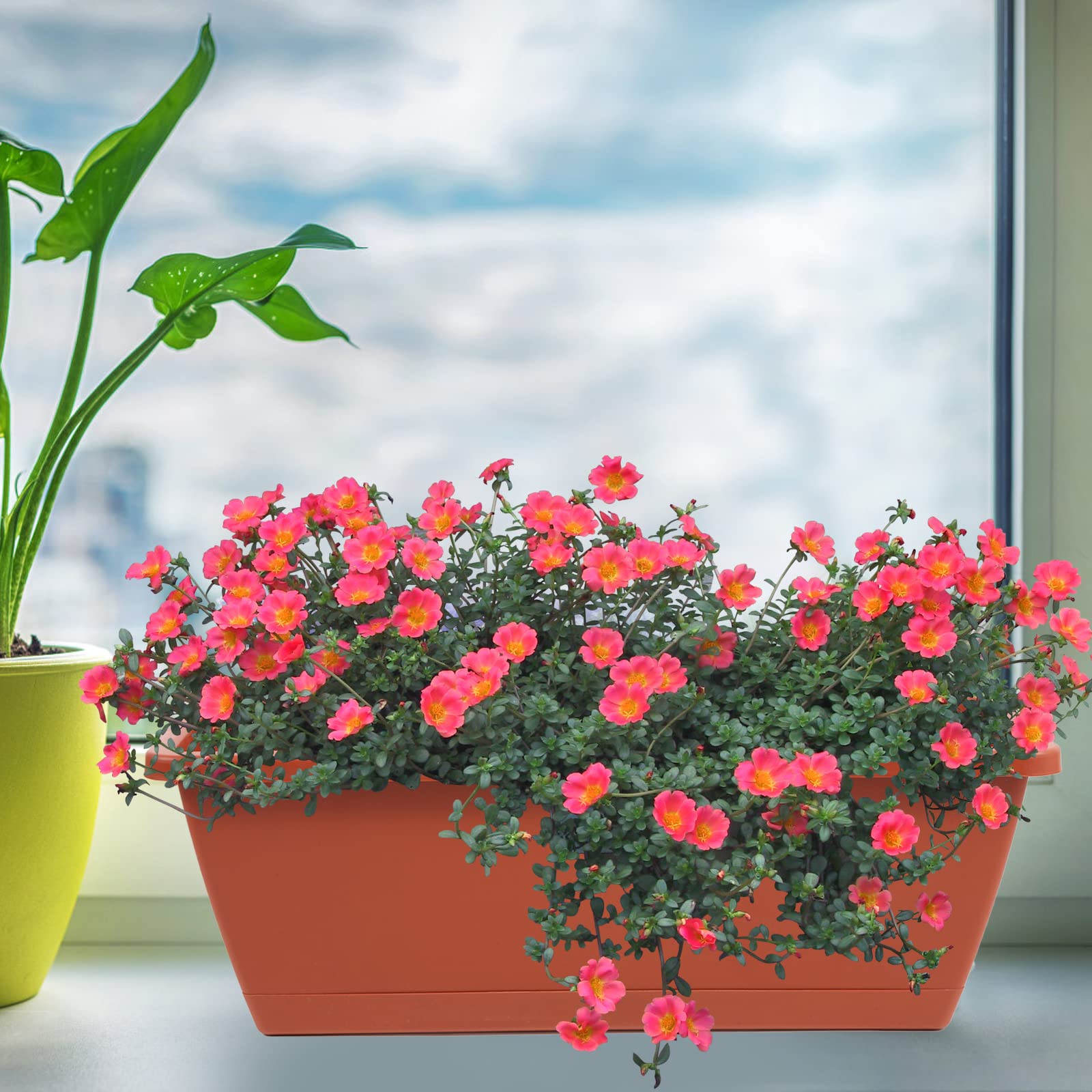 Hananojia planter with drainage holes and attached tray close-up for mess-free watering