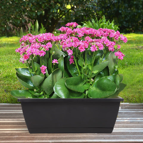 Hananojia planter with drainage holes and attached saucer prevents leaks.
