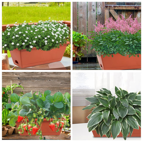 Hananojia window box planters on patio for seasonal flowers and vegetables