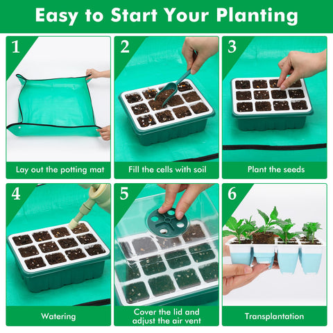 Hanaoyo clear dome provides view and adjustable humidity for healthy germination.