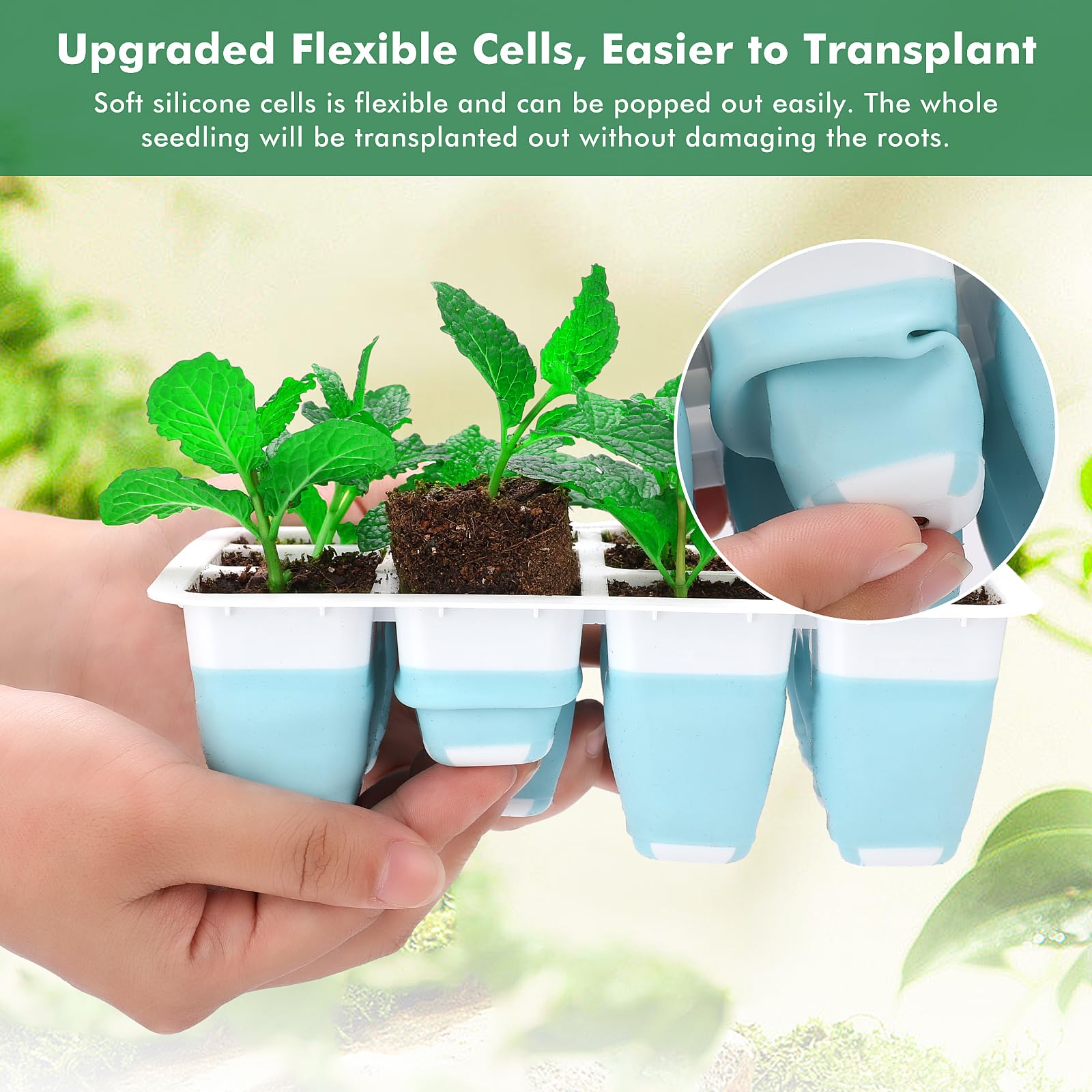 Hanaoyo heightened dome with air vent allows monitoring and humidity control.