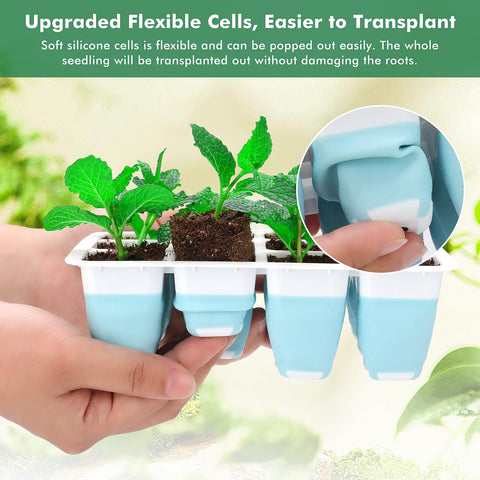 Hanaoyo heightened dome with air vent allows monitoring and humidity control.