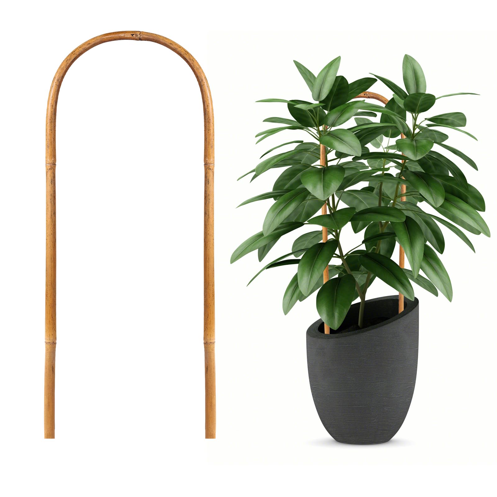 Hanaruer bamboo trellis 16inch U-Hoop provides sturdy support for climbing vines