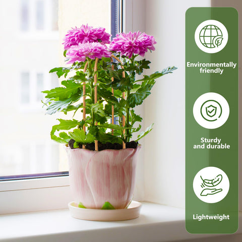 Hanaruer indoor outdoor trellis supports potted plants and climbers outdoors