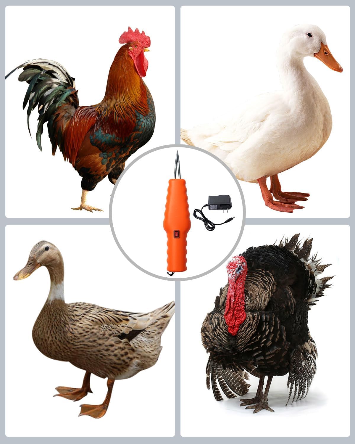 Handheld Chicken Plucker orange finish for high visibility in busy spaces