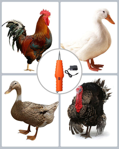 Handheld Chicken Plucker orange finish for high visibility in busy spaces