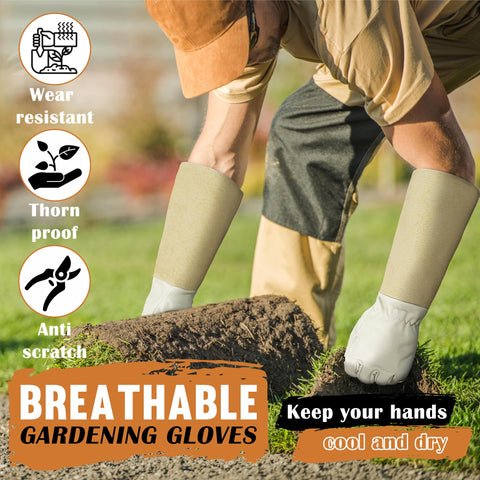 HANDLANDY Thorn-proof gloves shown during pruning of prickly shrubs.