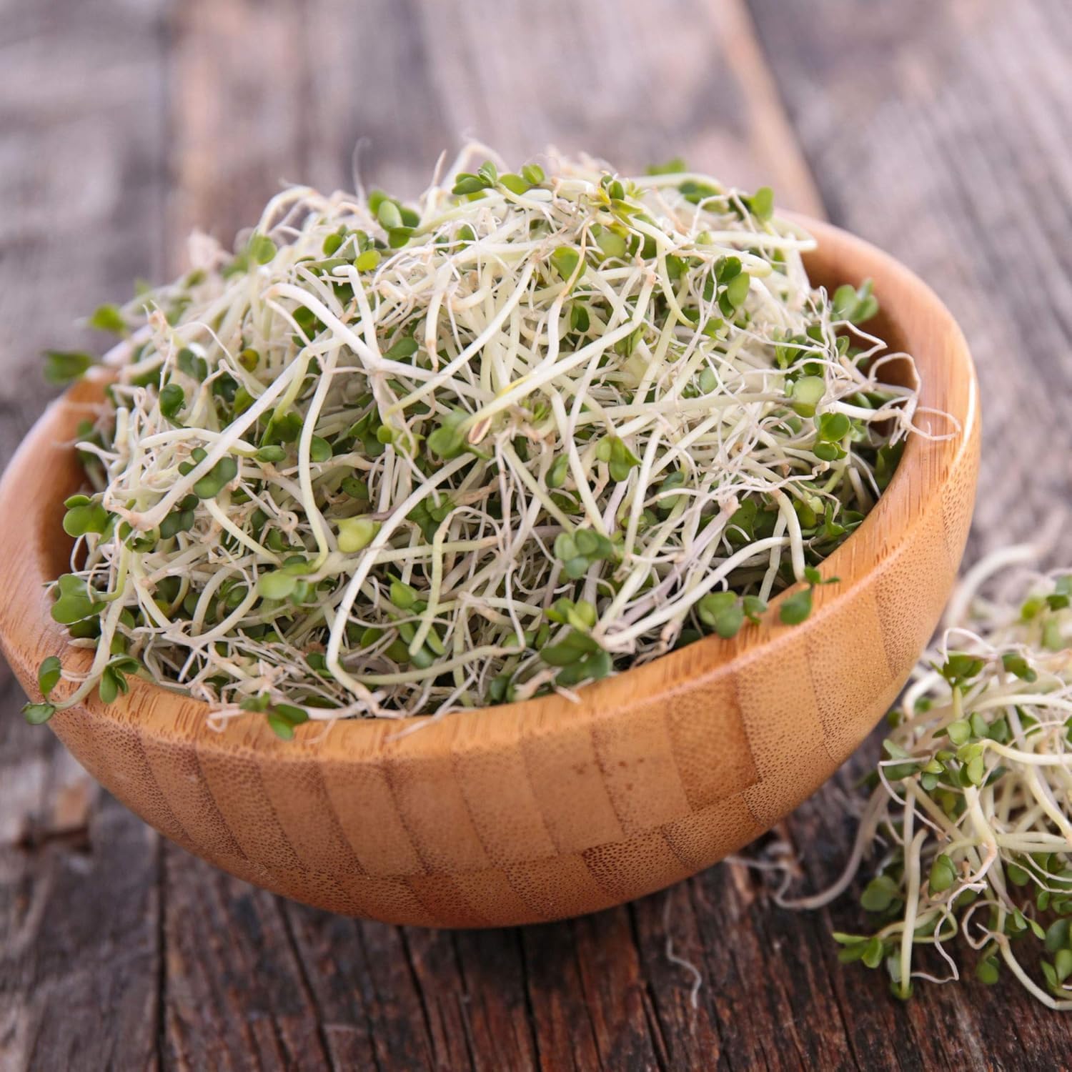 Handy Pantry 5-part salad mix sprouts pack perfect for vibrant meals