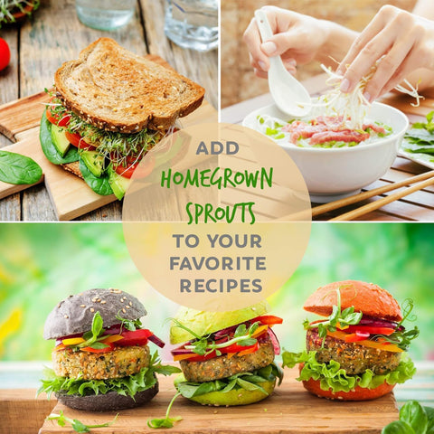 Handy Pantry 96-page sprouting guide included for beginners and enthusiasts
