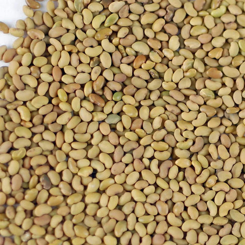 Organic Handy Pantry alfalfa seeds with storage pouch and label.