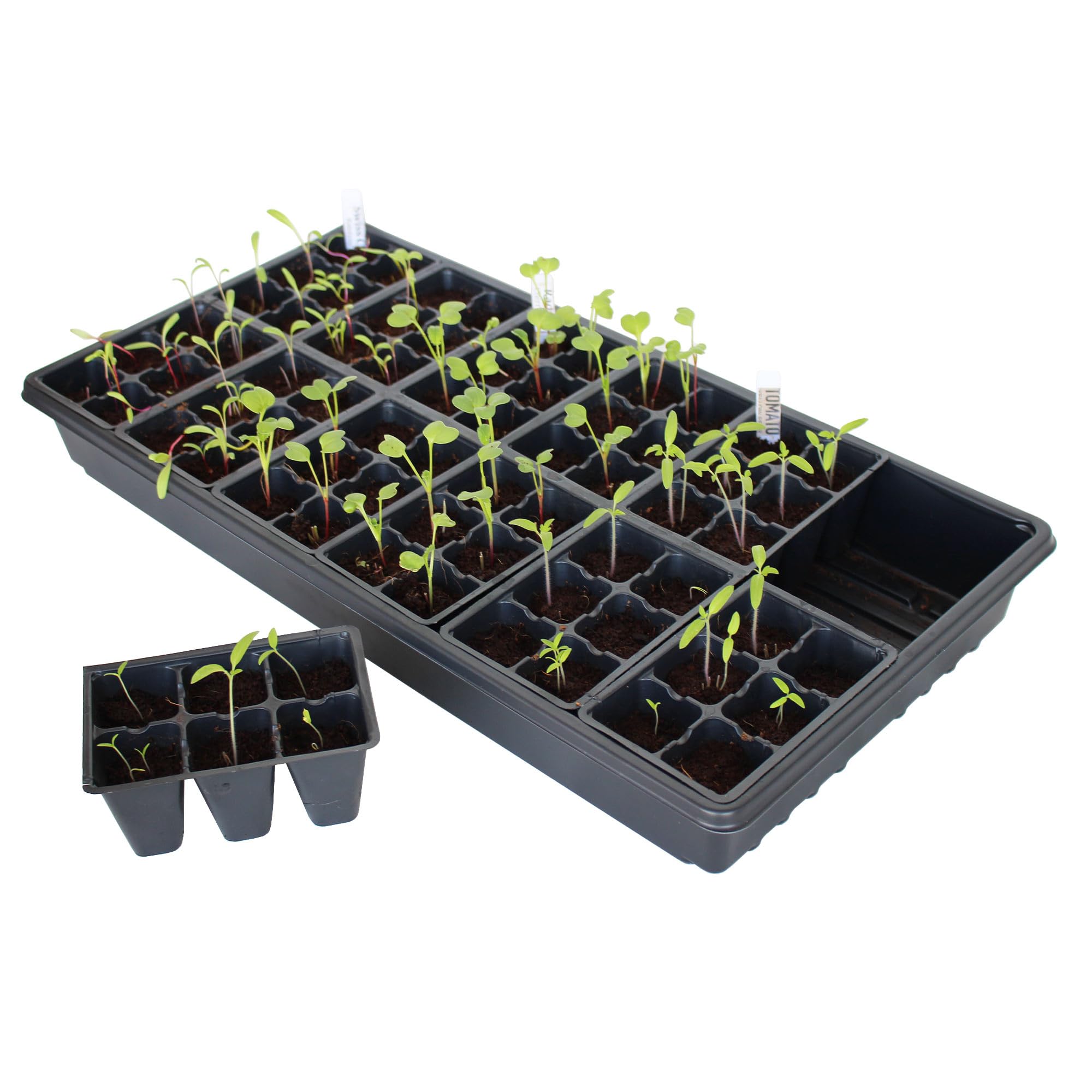 Handy Pantry BPA-free polystyrene tray ensures safe, durable seed starting.