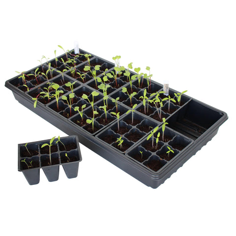 Handy Pantry BPA-free polystyrene tray ensures safe, durable seed starting.