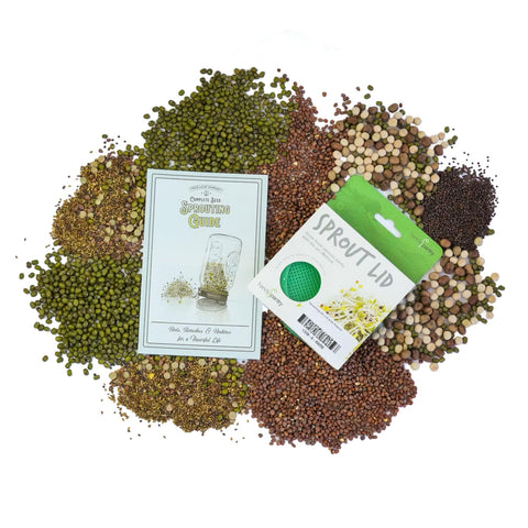 Handy Pantry broccoli sprouting seeds pack for fresh salads