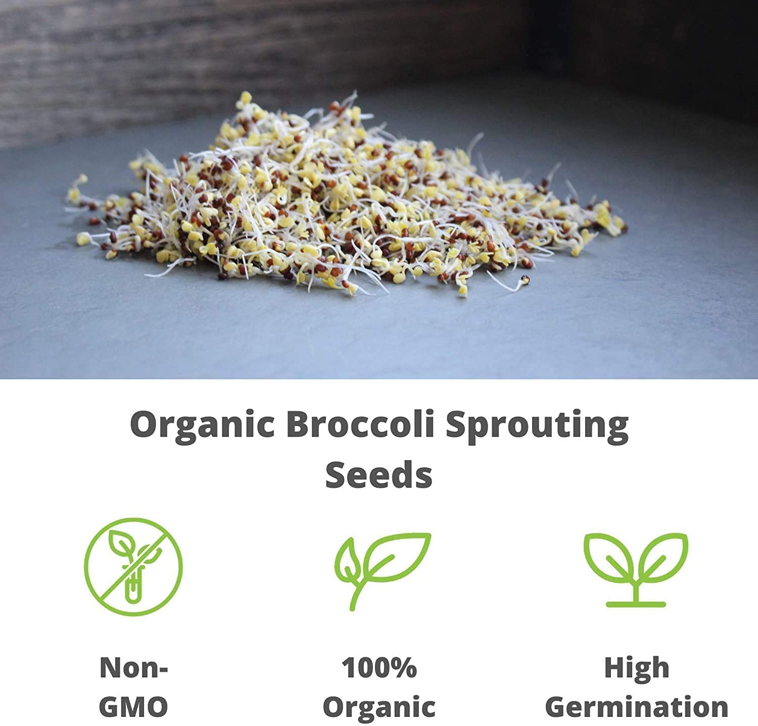 Handy Pantry broccoli sprouts seeds used in salads for crunch.