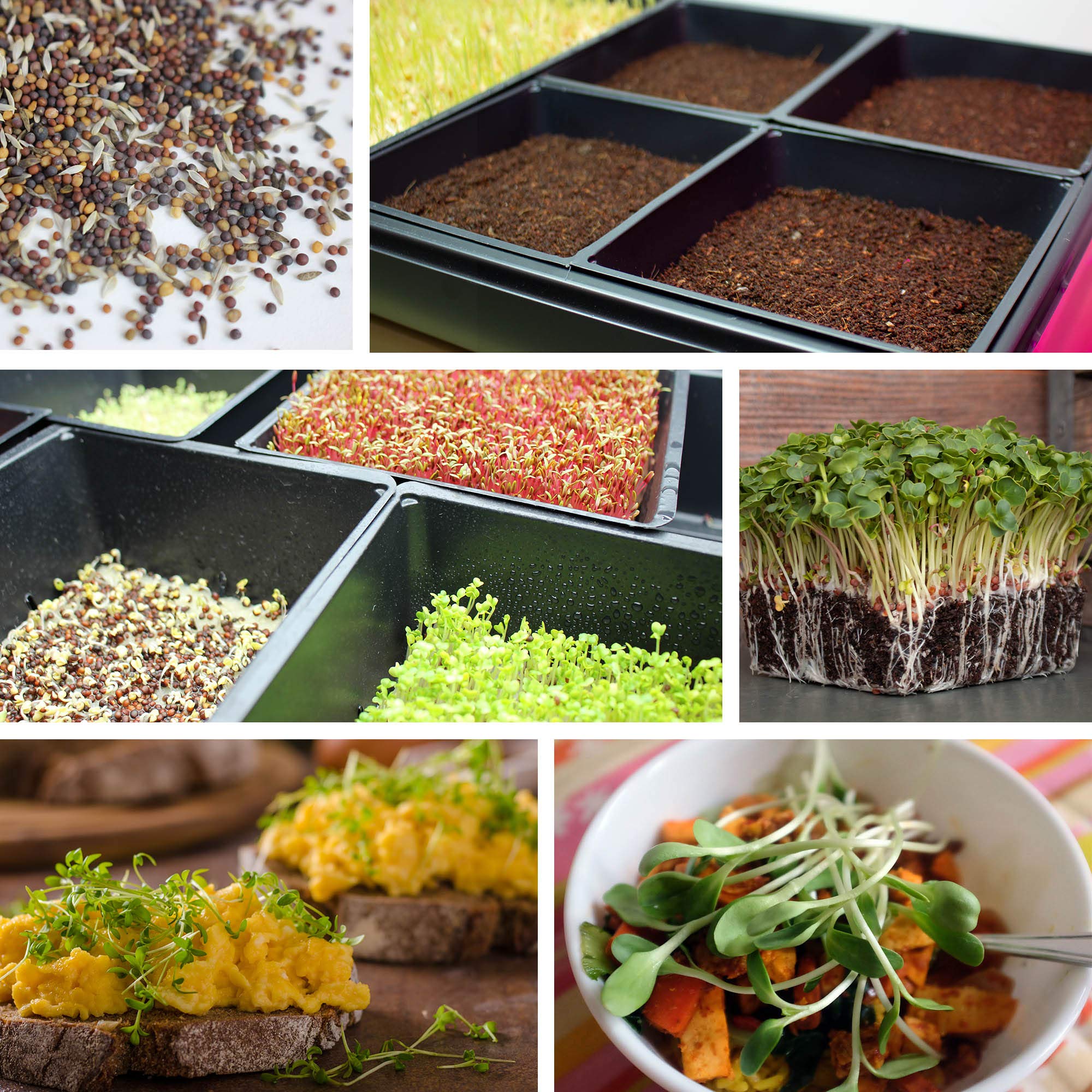 Handy Pantry food-safe tray, FDA-approved material for fresh produce growing.