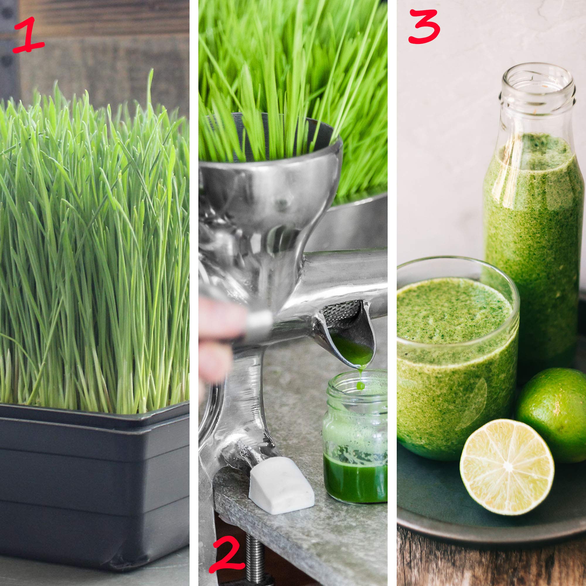 Handy Pantry hydroponic tray in use, supports stacked, space-saving nursery flats.