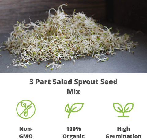 Handy Pantry kitchen sprouts, perfect for fresh salads and crunch.
