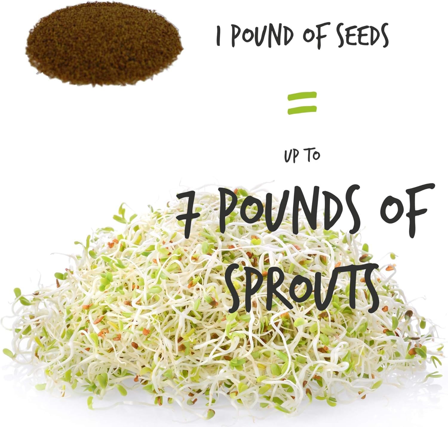 Handy Pantry mung sprouting seeds pack ideal for quick crunchy sprouts