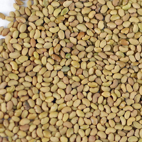 Handy Pantry organic alfalfa seeds; non-GMO for safe home sprouting.