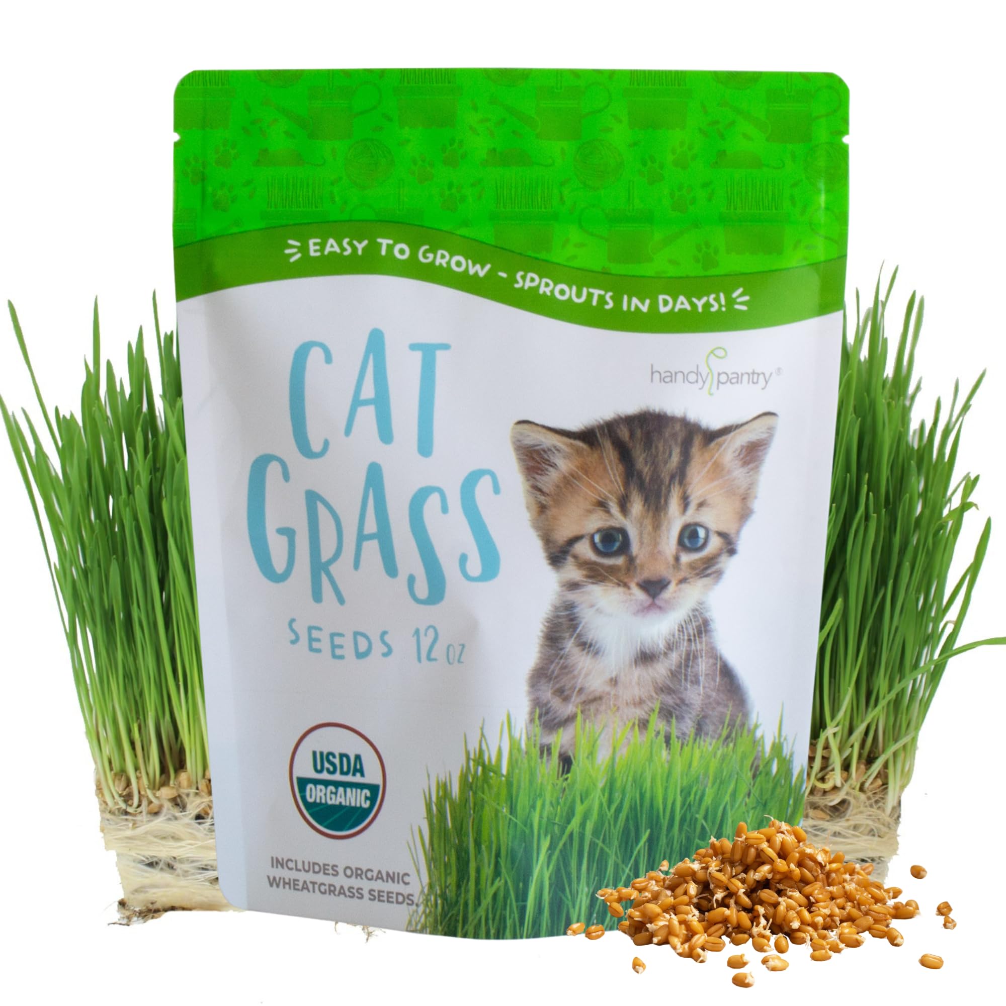 Handy Pantry organic cat grass seeds pack ready for indoor sowing and pet enjoyment.