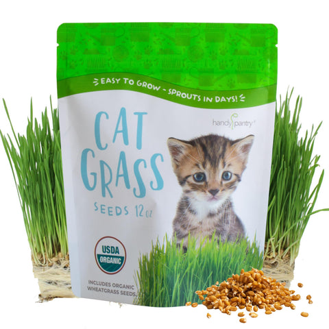 Handy Pantry organic cat grass seeds pack ready for indoor sowing and pet enjoyment.