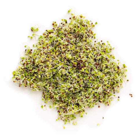 Handy Pantry organic non-GMO seeds with Oregon Tilth certification.