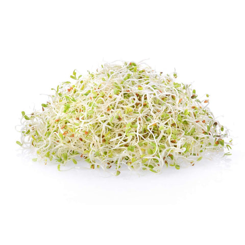 USA-made Handy Pantry organic seeds shown for home gardeners.